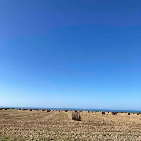 Les Albatros Casa vacanze *